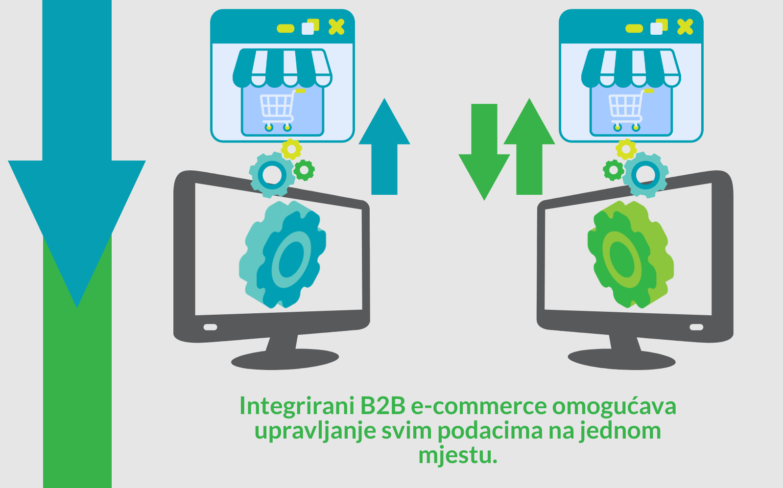 B2B web shop Hecta sustav