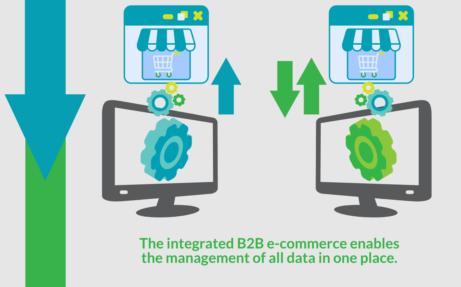 integrirani_b2b_web_shop_hecta_3 Integrated B2B eCommerce Hecta
