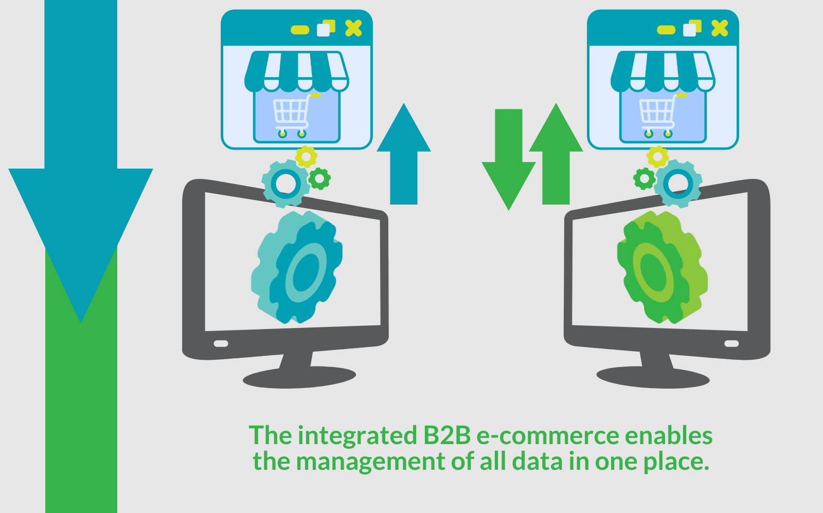 Integrated B2B eCommerce Hecta